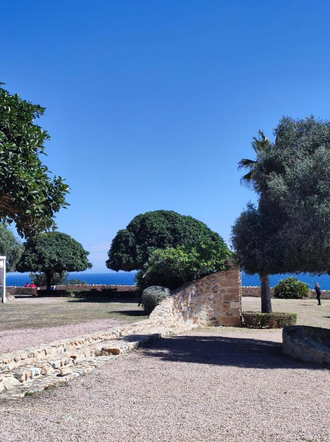 Violetta Torrevieja