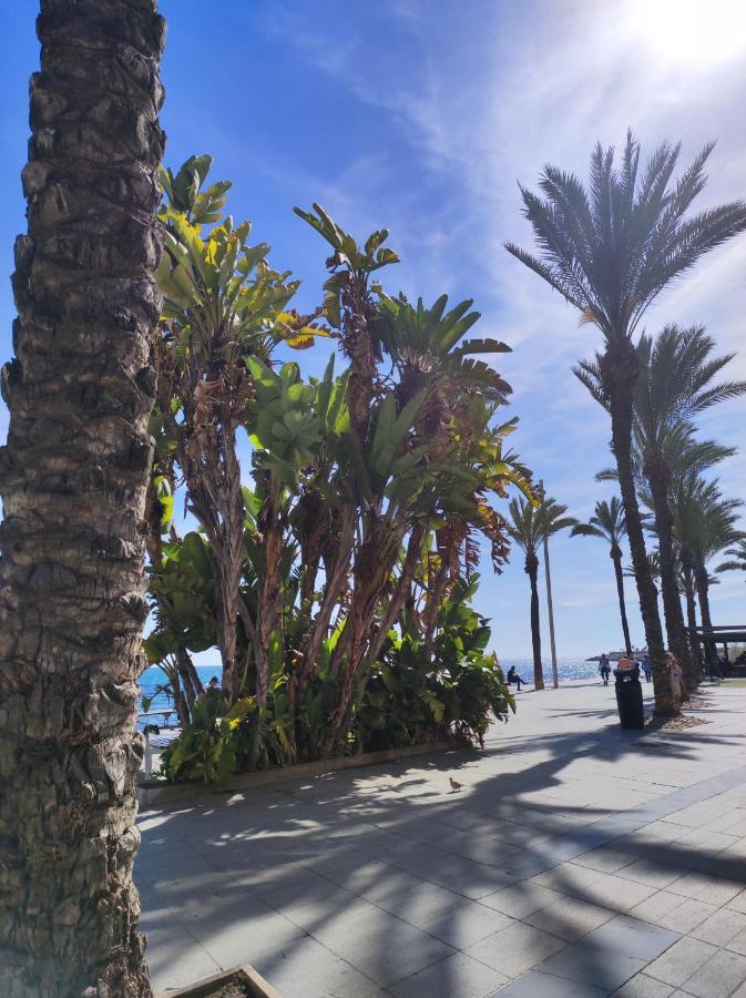 Violetta Appartement Torrevieja